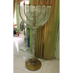kaki dian gold