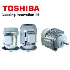 toshiba 3 phase induction motor tikk-fbkw21a, 55kw-4p-380v-50hz-ip54