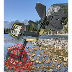 metal detector & gold detector fisher gold bug dp