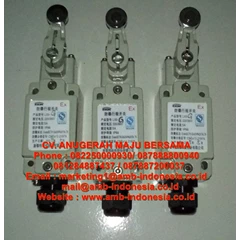 limit switch explosion proof hellon hrlm lx5 limit switch