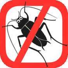 pest control cockroaches control (kecoa)
