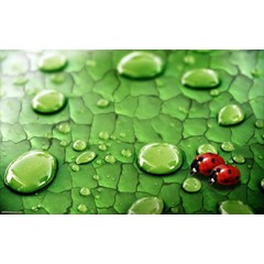 3d wallpaper denpasar - wallpaper custom - unique carpet & deco bali