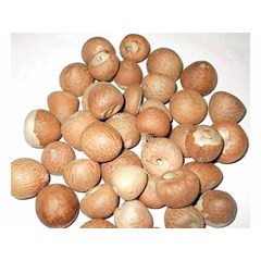 sell betel nut from tana toraja indonesia