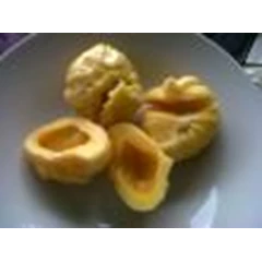 bibit nangka unggul
