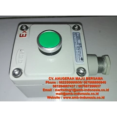 push button explosion proof control unit lcs