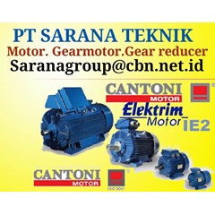 cantoni motor gearmotor gearreducer pt sarana teknik motor
