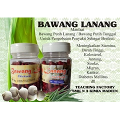 bawang putih lanang dan bawang putih tunggal