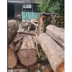 kayu jati