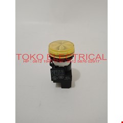 autonic control unit