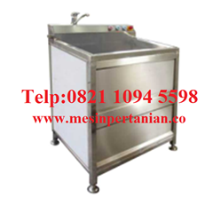 air bubble vegetable washer