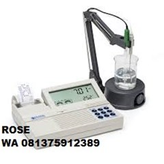 hanna hi122 benchtop ph/ mv meter with printer