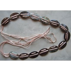 belt shell around oval / sabuk kerang bentuk oval
