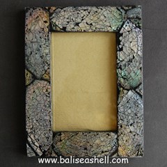 frame photo from big size abalone shell / bingkai foto dari kerang abalone besar 