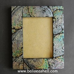 frame photo from abalone shell / bingkai foto dari kerang abalone