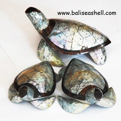 seashell handicraft turtle ornament from seashell / kerajinan ornamen penyu kerang laut