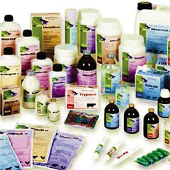 katalog obat hewan anime chemical