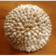 sea shell ball / bola kerang laut