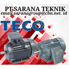 teco electric motor