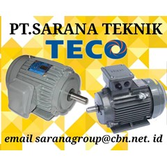 teco induction electric motor increased type aeebxa - aevbxa