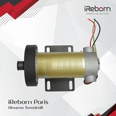 dinamo ireborn paris treadmill