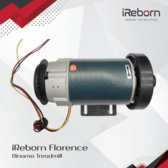 dinamo ireborn florence treadmill