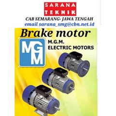 brake motor                              