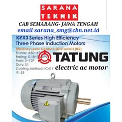 electric ac motor