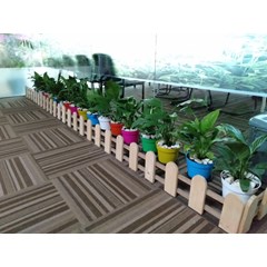 sewa tanaman hias termurah