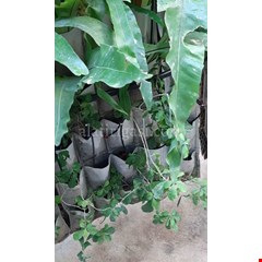 dripper untuk vertical garden