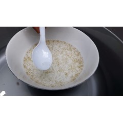 larva jelawat benih ikan / bibit ikan