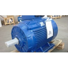 electrim electric motor.