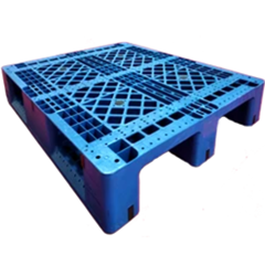 pallet plastik berwarna
