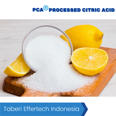 processed citric acid harga murah
