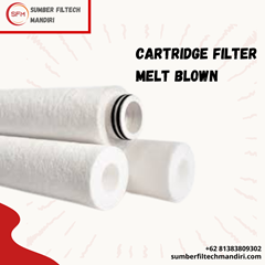 cartridge filter melt blown