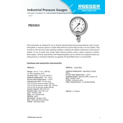 pressure gauge pbx063 - rueger