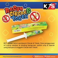 racun cikcak tokek (rct) | obat hama walet 