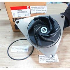 cummins 5291445 4309418 4930477 3973114 3964791 3286293 3973114 pump