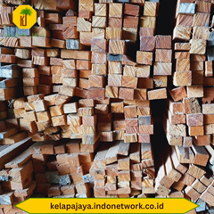supplier kayu reng kamper termurah