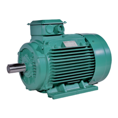 optimity electric motor leroy somey