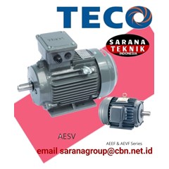 teco aesv series motor electric distributor sarana teknik