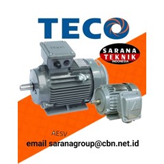 teco motor electric distributor sarana teknik