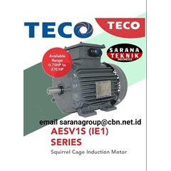 supplier electric motor teco