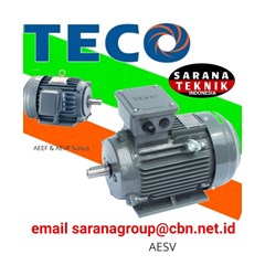 teco aeef & aevf series motor electric distributor sarana teknik