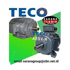 teco aesv - n motor electric distributor