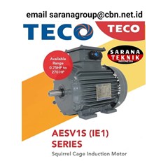 squirrel cage induction motor teco