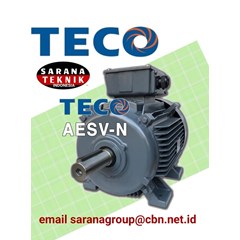teco aesv - n motor electric sarana teknik