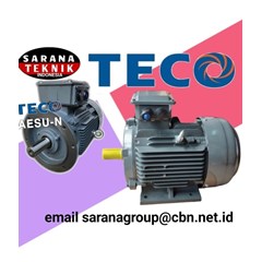 teco aesu - n motor electric distributor
