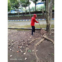 jasa gardening terbaik