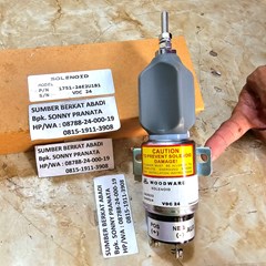 soleno 24v sa3933 1751-24e2u1b1 b4002-1115030 3684274 sa-4148-t sa4148