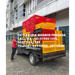 distributor keranjang ayam keranjang plastik